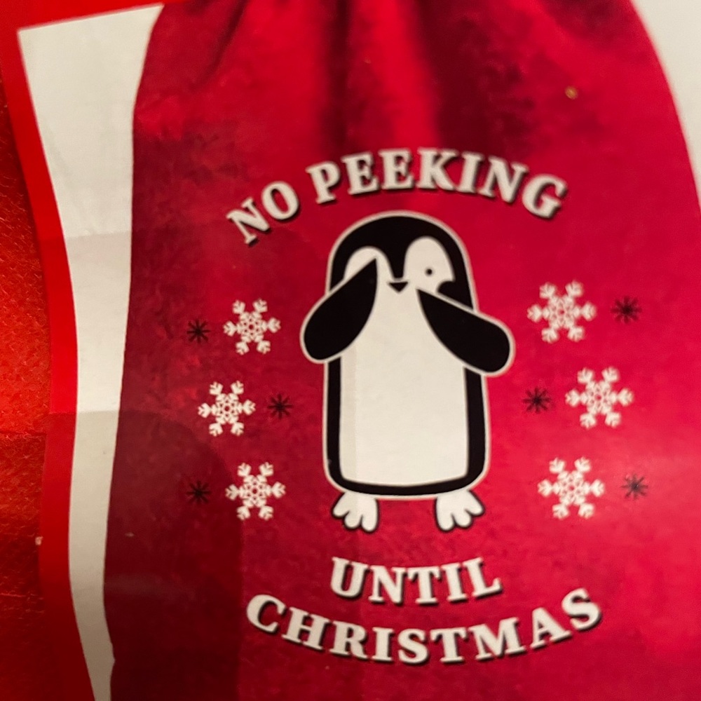 2 Christmas Gift Sacks - Picture 3 of 3